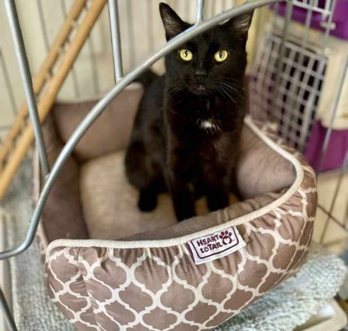 Photo of Dottie