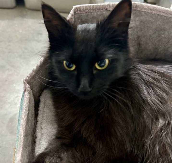 Photo of Bianca
