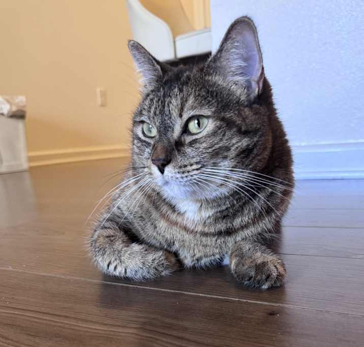 Photo of Louie