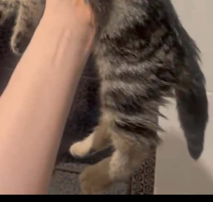 Photo of CHARLIE