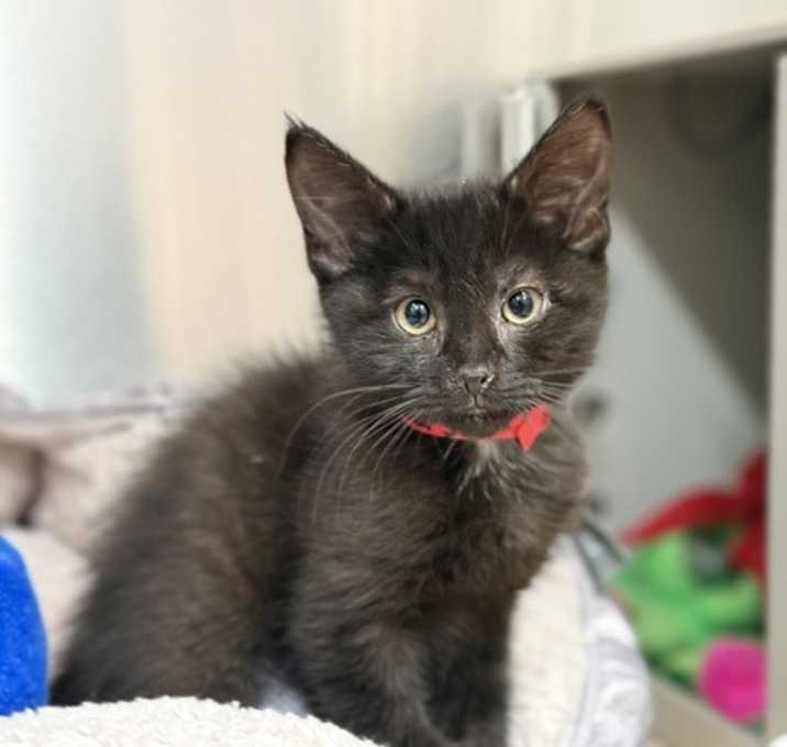 Photo of Sc: Marceline