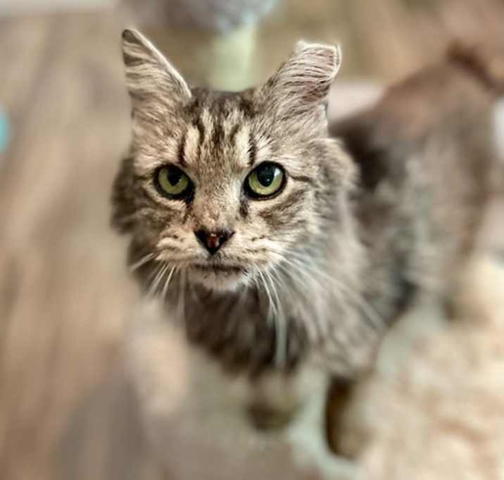 Photo of Sophia