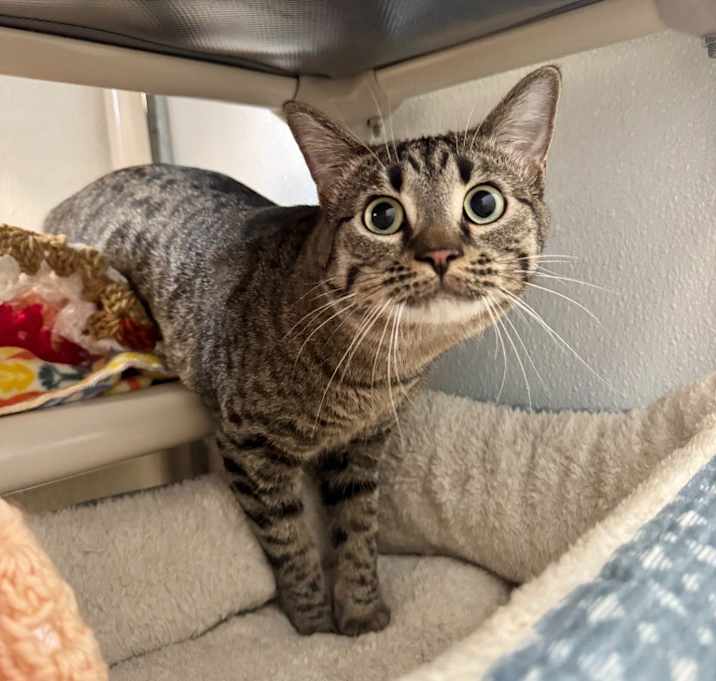 Photo of Milo
