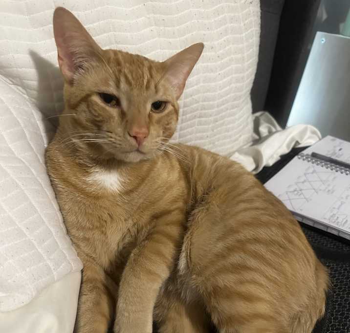 Photo of Leo