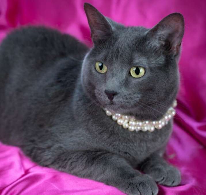 Photo of Isabel