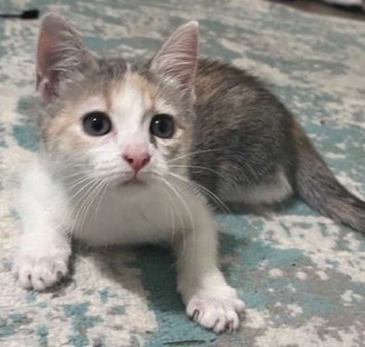 Photo of Myra