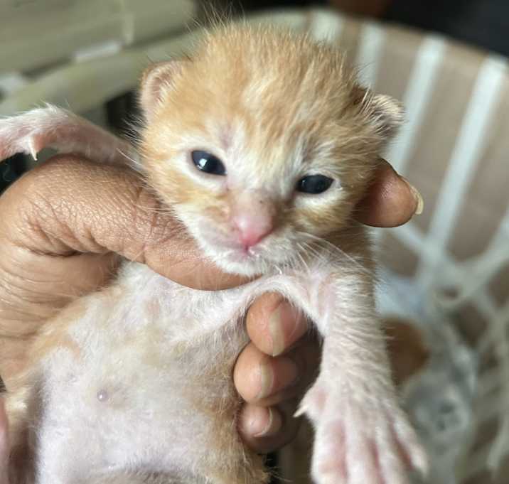 Photo of No name yet