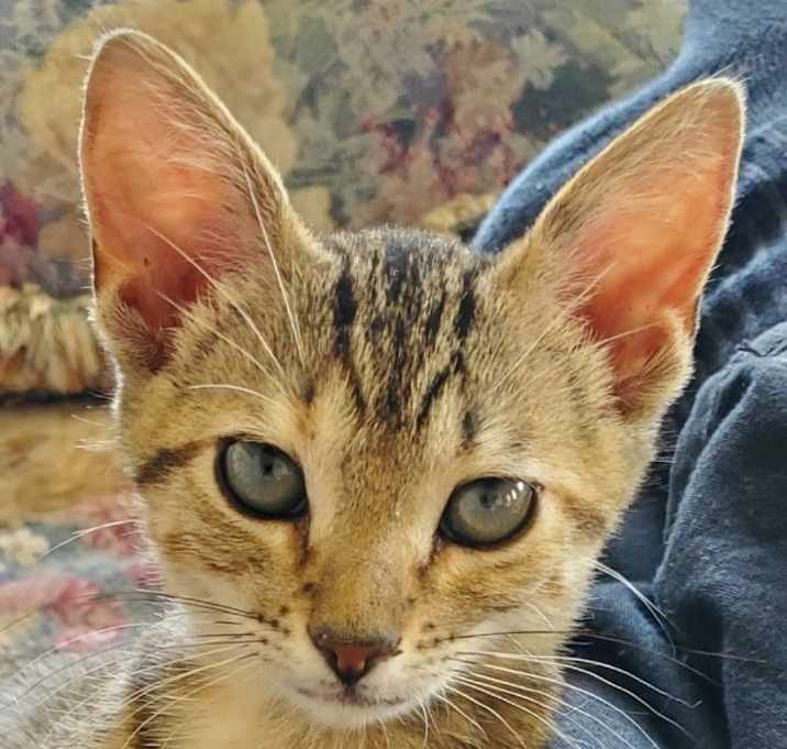 Photo of Jenny