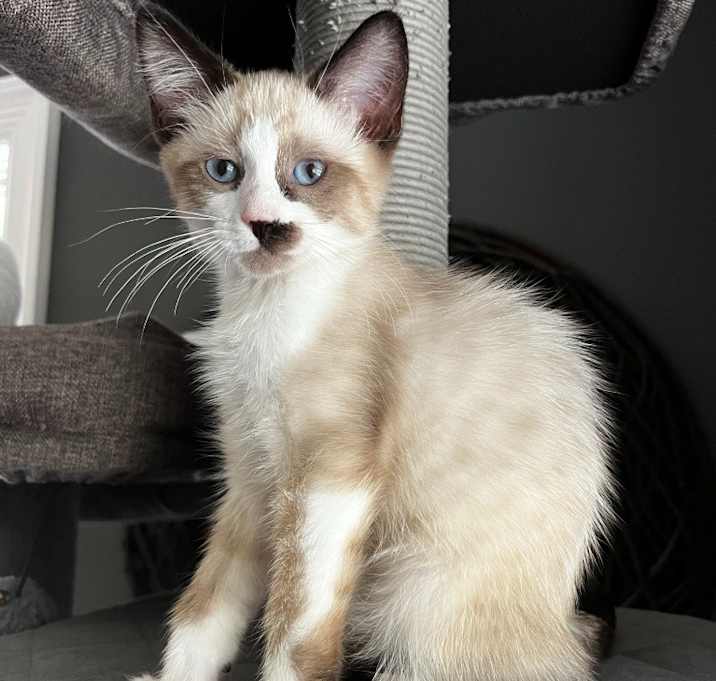 Photo of Vali