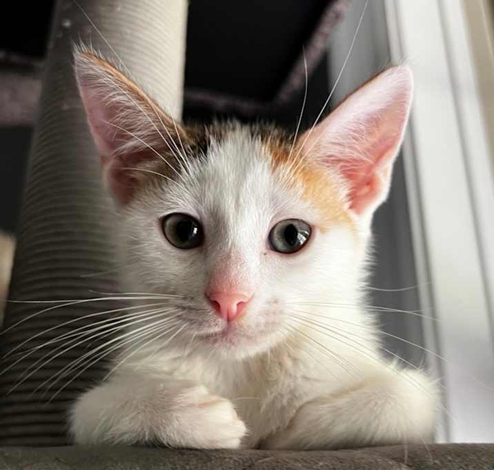 Photo of Vania