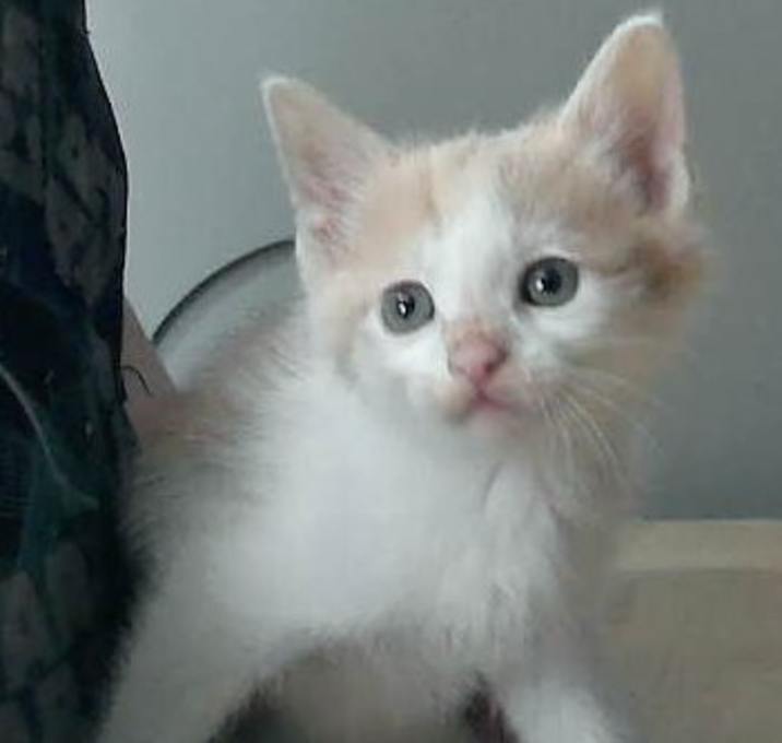 Photo of Jeffery