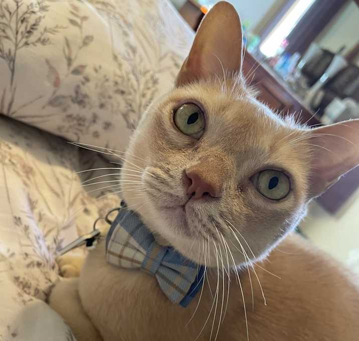 Photo of Bingo