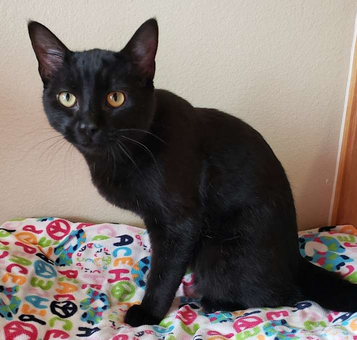 Photo of Zim