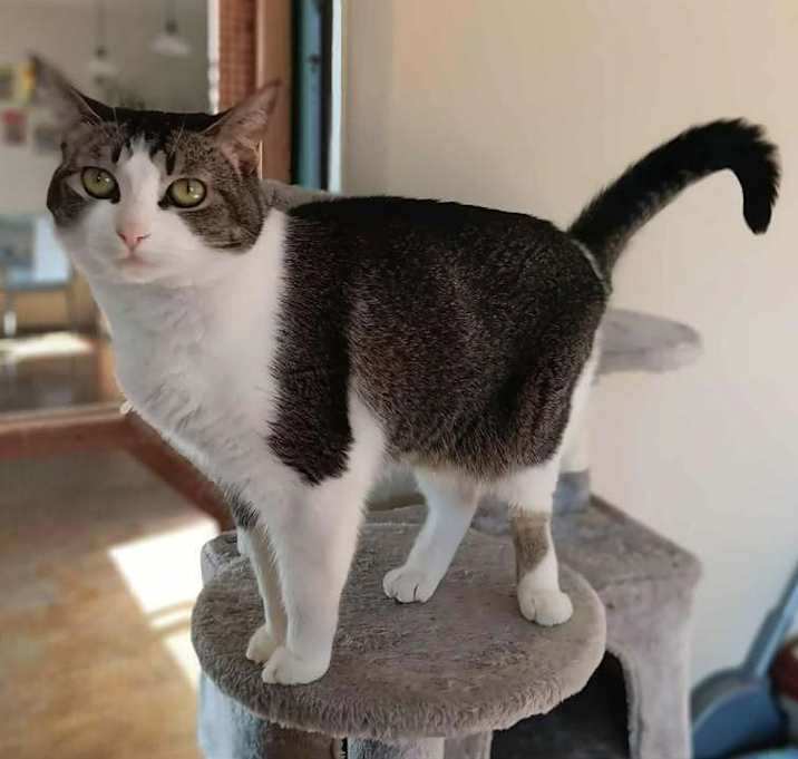 Photo of Sassy