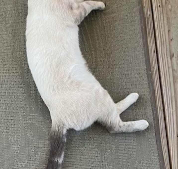 Photo of Luna Mae