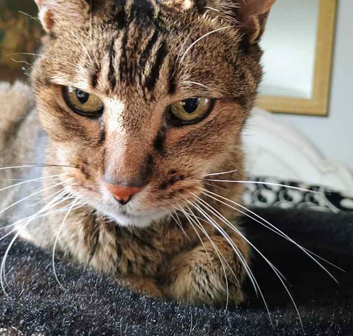 Photo of Andy