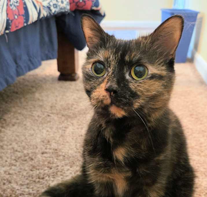Photo of Molly