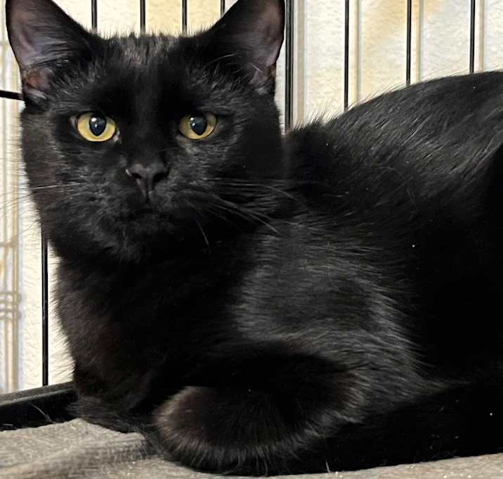 Photo of Betty