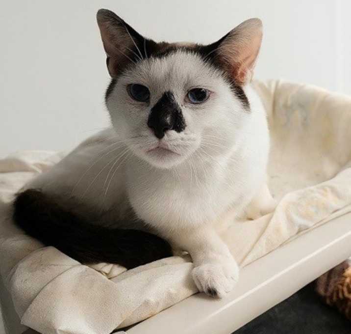 Photo of Rogan