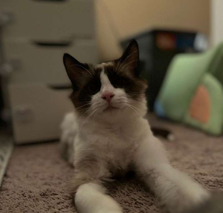 Photo of Aiden