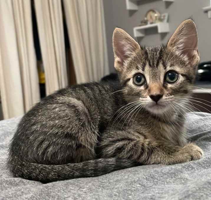 Photo of Kiara