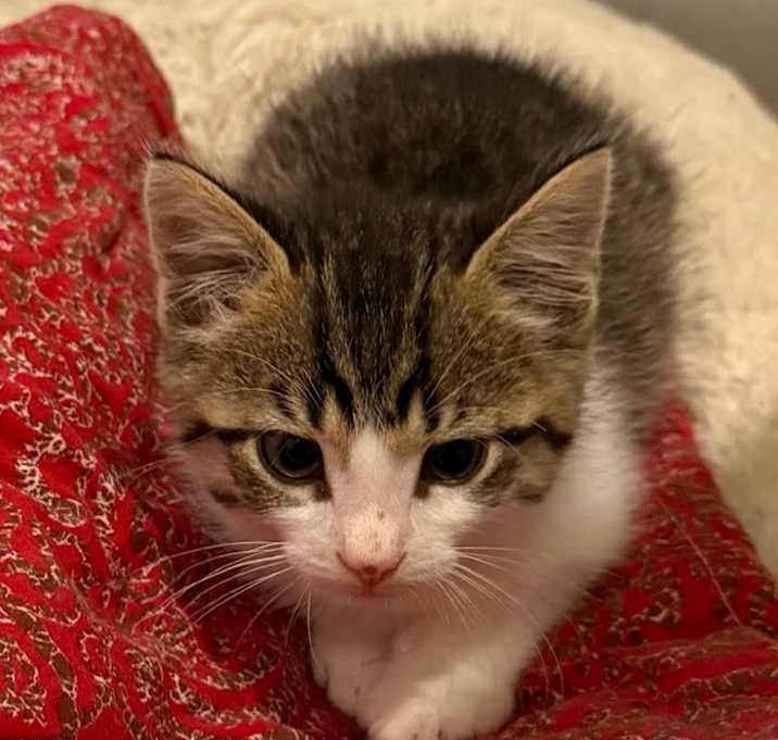 Photo of Bright