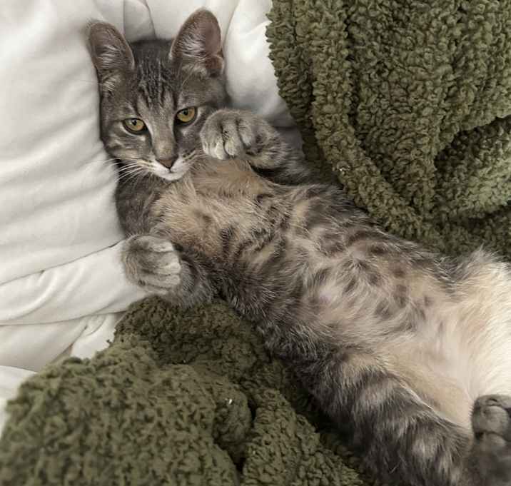 Photo of Ash