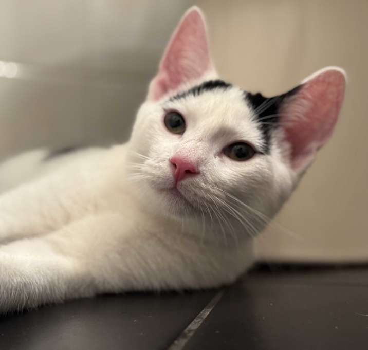 Photo of Jasper