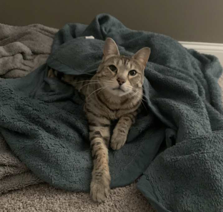 Photo of Daisy