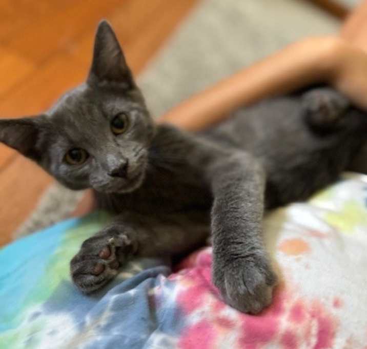 Photo of Julio