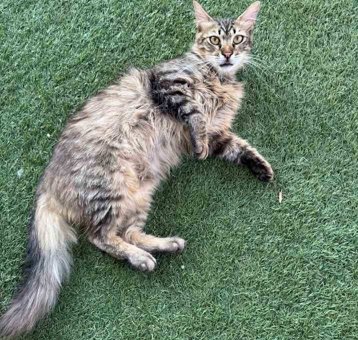 Photo of Gus