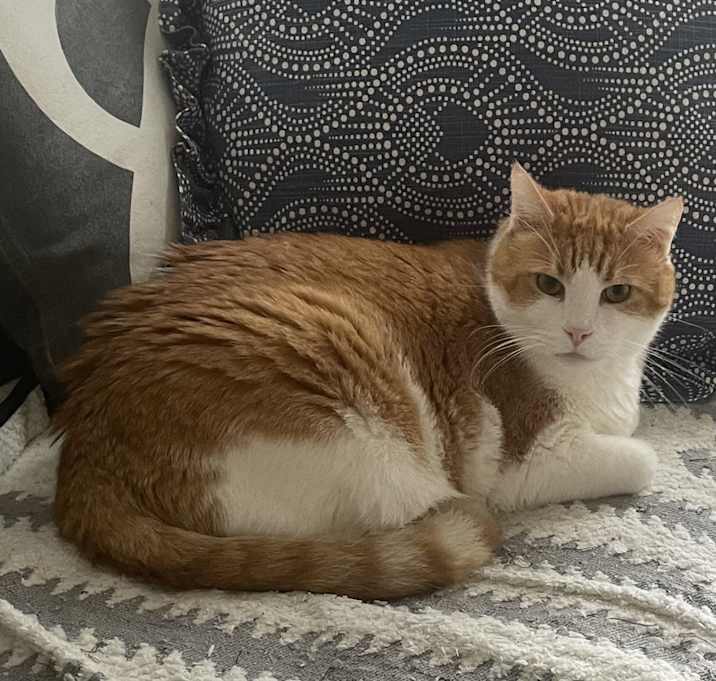 Photo of Huey