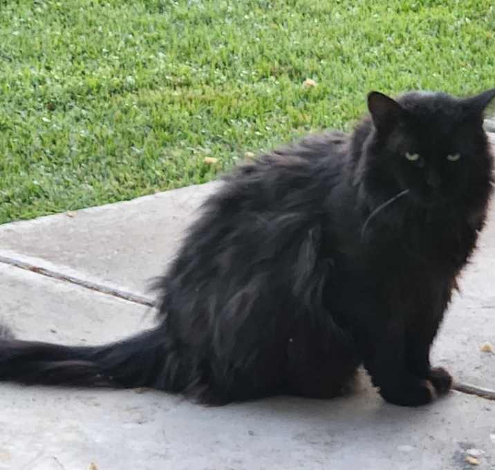 Photo of Zeus