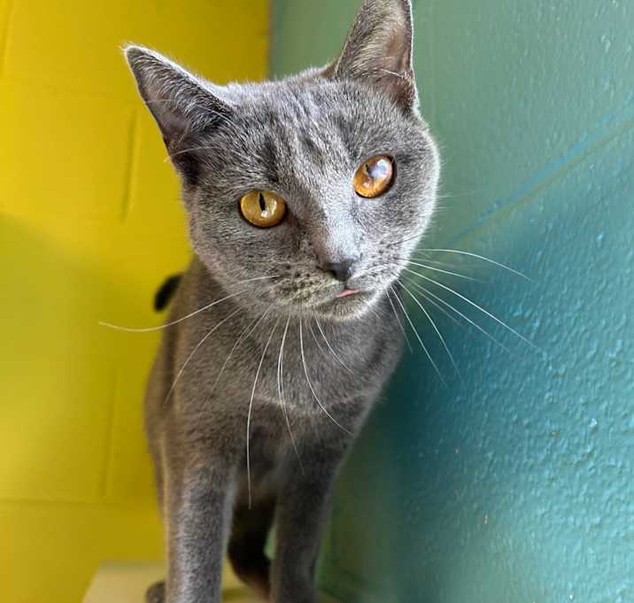 Photo of Juliana