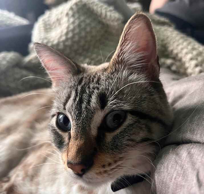 Photo of Lily