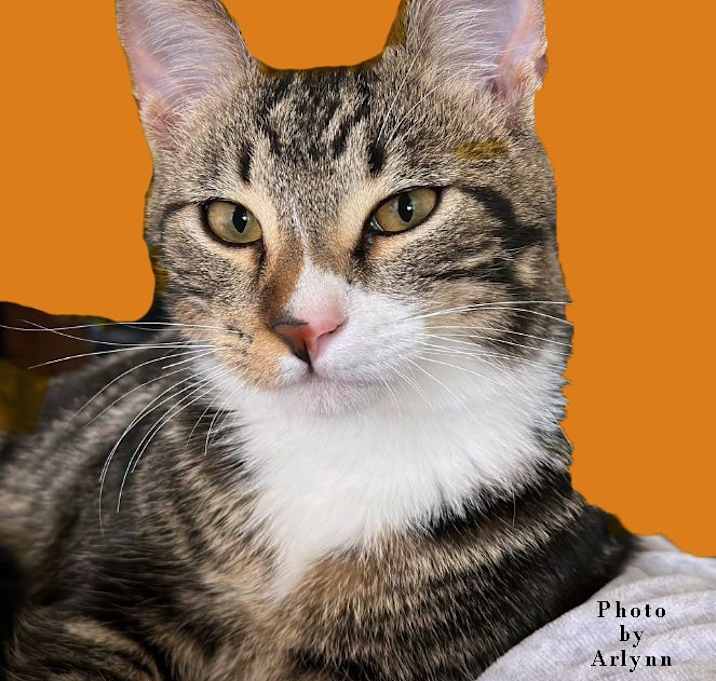 Photo of Chuck