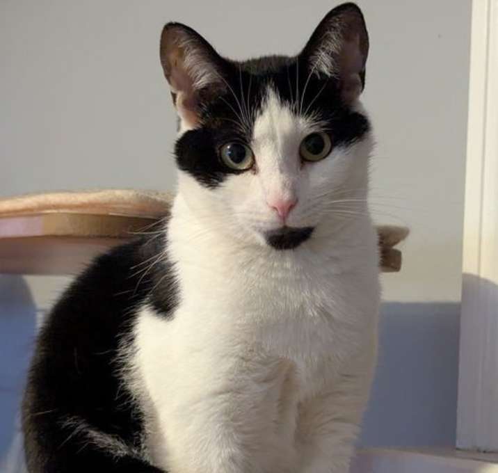 Photo of Fleetwood Flynn