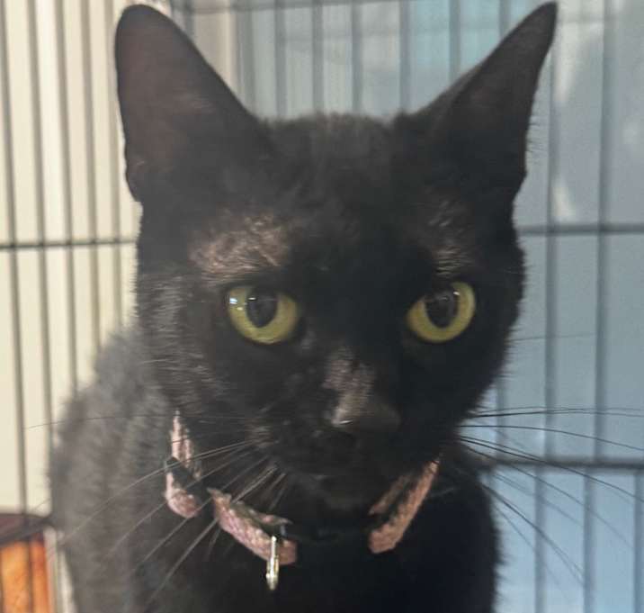 Photo of Sabrina