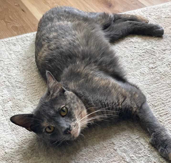 Photo of Astrid