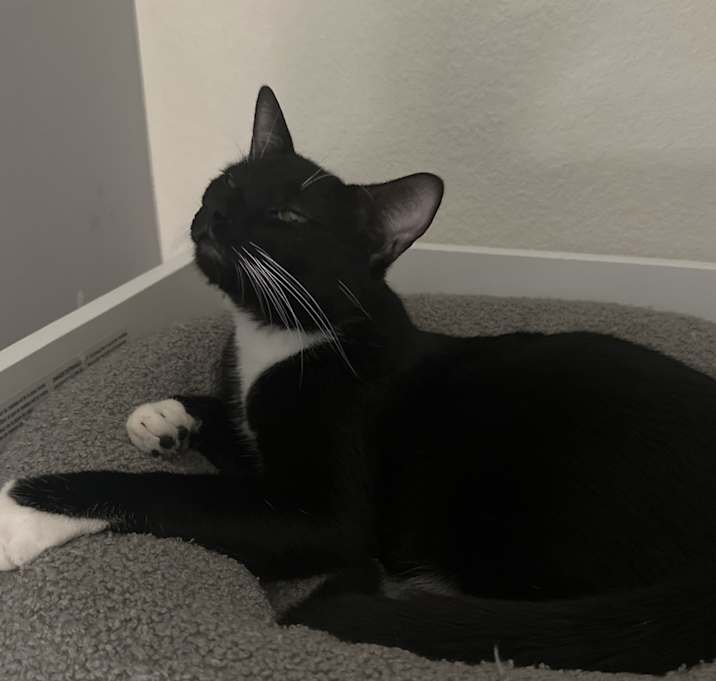 Photo of Tom