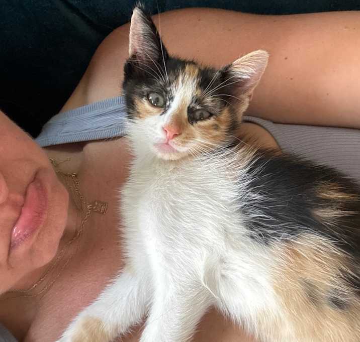 Photo of Smol
