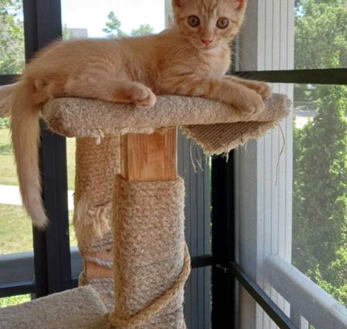 Photo of Mortimer