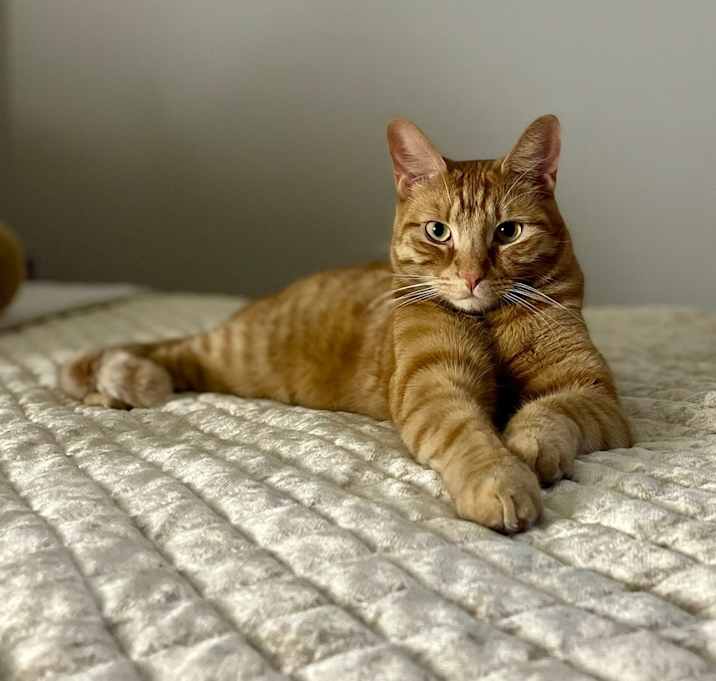 Photo of Oliver
