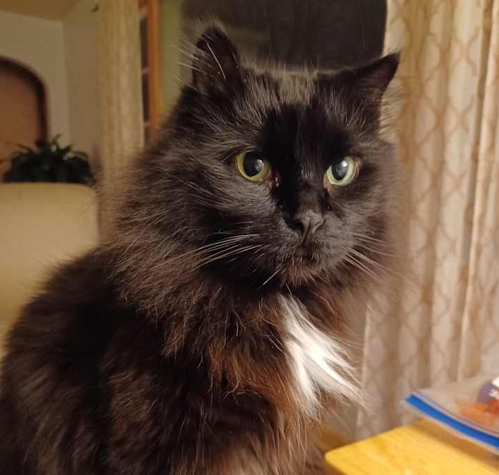 Photo of Gus