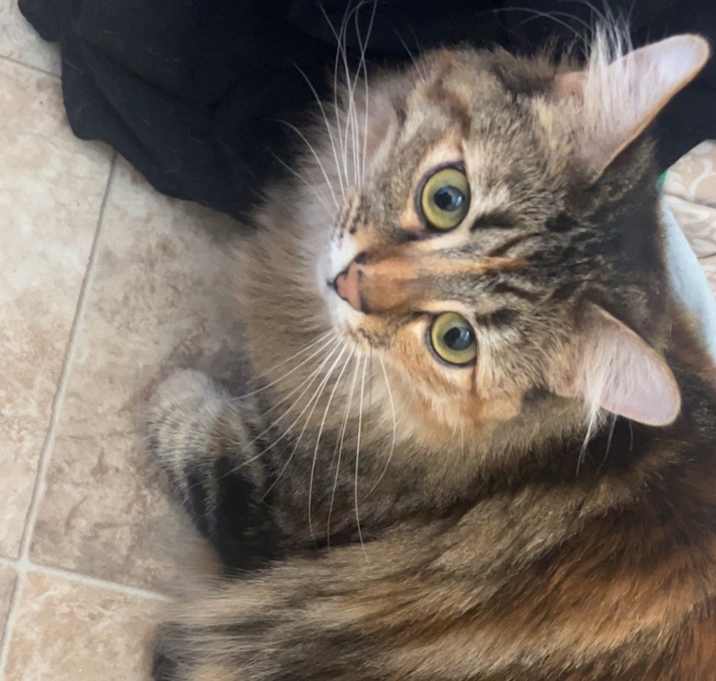 Photo of Spicy