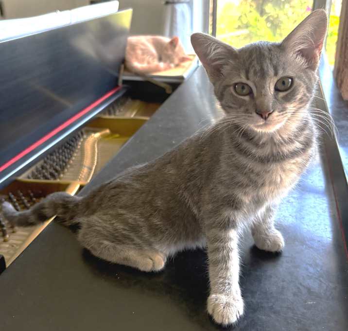 Photo of Polly