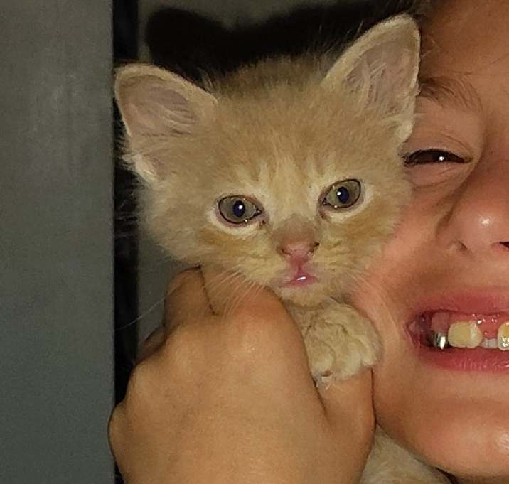 Photo of Buttercup
