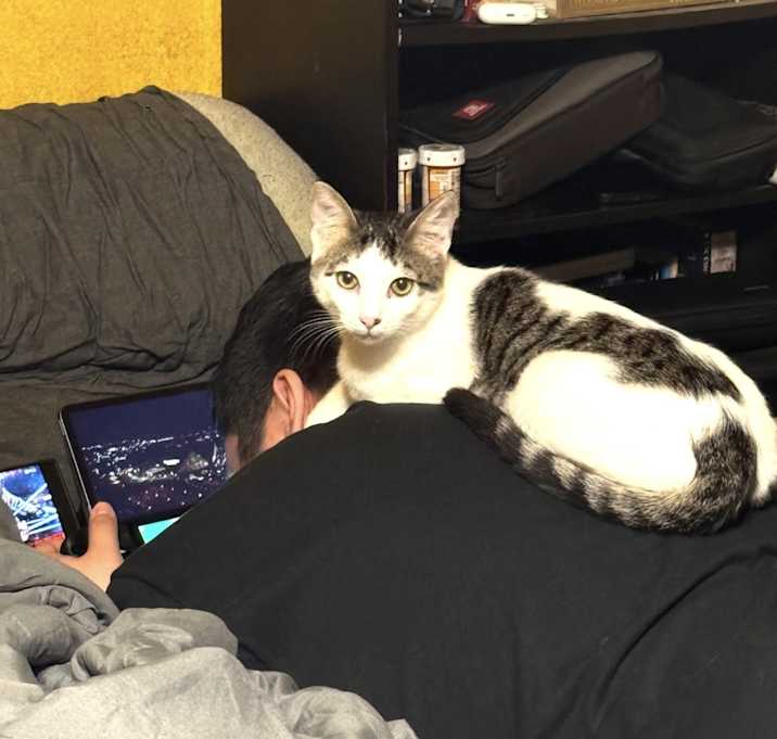 Photo of Max