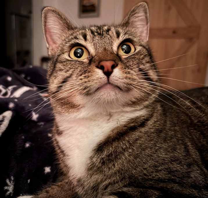 Photo of Belle