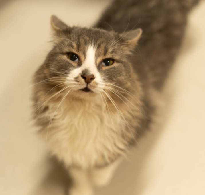 Photo of Angry Face